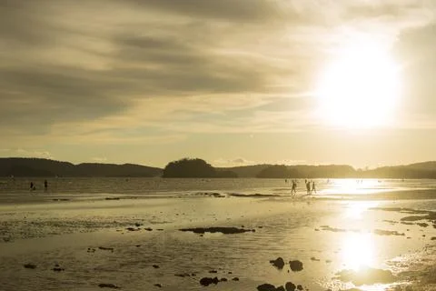 Beach sunset Stock Photos