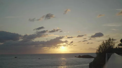 Beach at sunset with plants on left Video stock 346282084