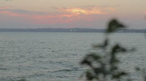 Beach sunset with plants in the wind Stock-Footage 864066