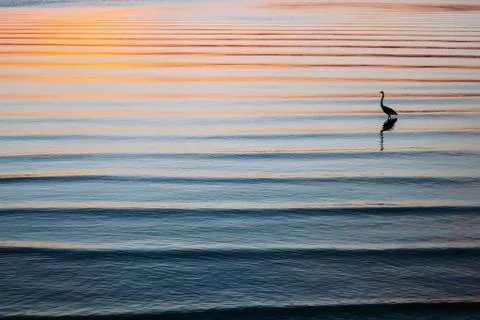 Beach Sunset Ripple Stock Photos