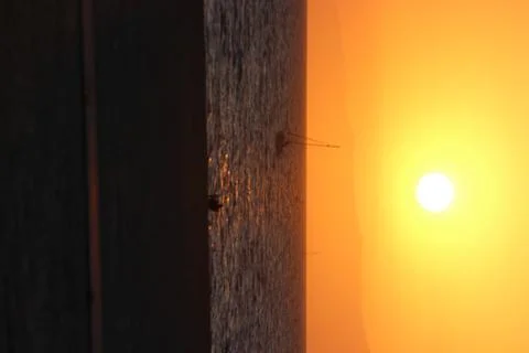 Beach Sunset Sailboat Stock Photos