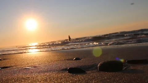 Beach Sunset Silhouette Stock Footage 129713581