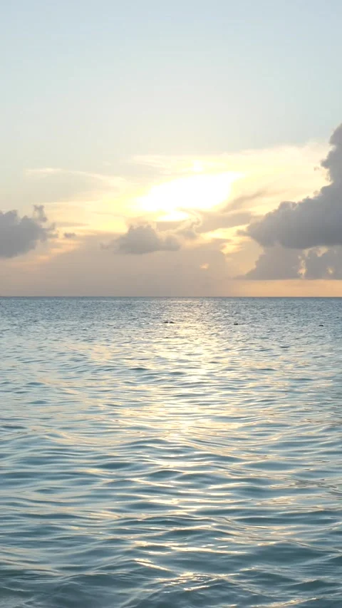 Beach Sunset Slow Motion Stock Footage 229405355