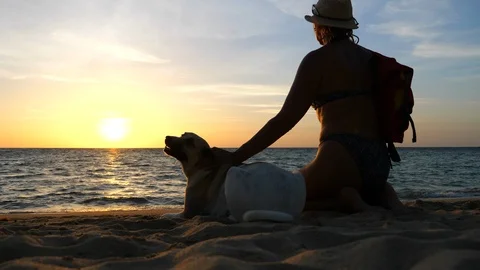 Beach sunset time Stock Footage 97784801