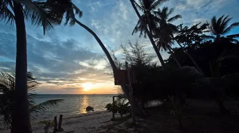Beach Sunset Timelapse with palm tree silhouettes @ Koh Phangan, Thailand Stock Footage 11016487