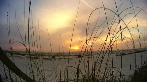 Beach Sunset Timelapse thru foliage Video stock 45520300