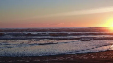 Beach Sunset Waves with Bird Stock Footage 341366448