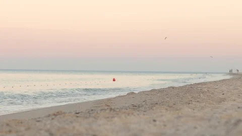 Beach at sunset with waves, seaguls flying, people far away. Relax Stock Footage 91995406