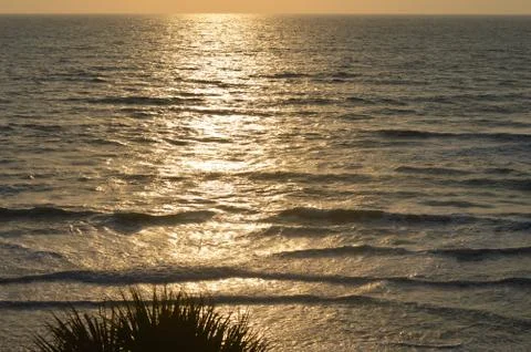 Beach Sunset W/Palmtree 스톡 사진