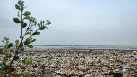 Beach Surface That Has Been Contaminated With Garbage Stock Footage 230701027