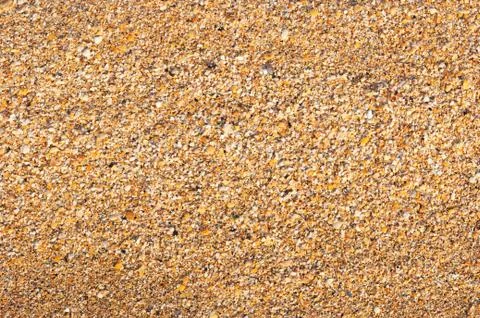 Beach surface Stock Photos