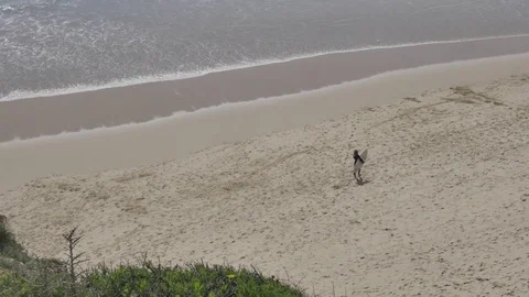 Beach surfers Stock Footage 78449234