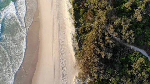 Beach in Surfers Paradise Stock Footage 88239854