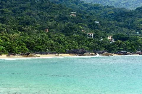 Beach surrounded by forest in Trindade municipality of Paraty in Rio de Janeiro Stock Photos
