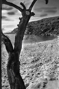 A beach surrounded by nature Stock Photos