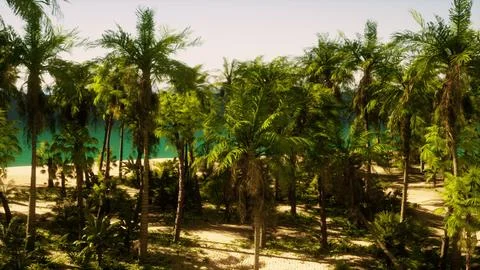 A beach surrounded by palm trees and a body of water Ilustración de archivo