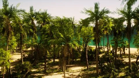 A beach surrounded by palm trees and a body of water 库存插图
