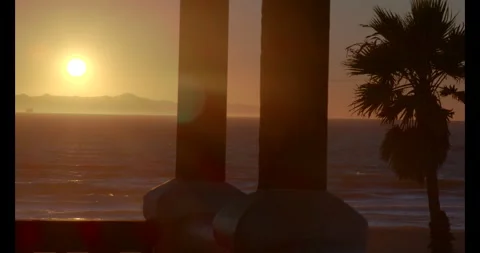 Beach susnet with palm tree and balcony Stock Footage 292926037