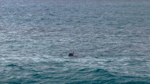Beach,  swimming lessons Stock Footage 301818439