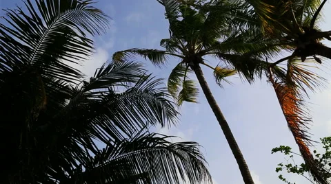 Beach swimming pool Vídeos de archivo 42113430