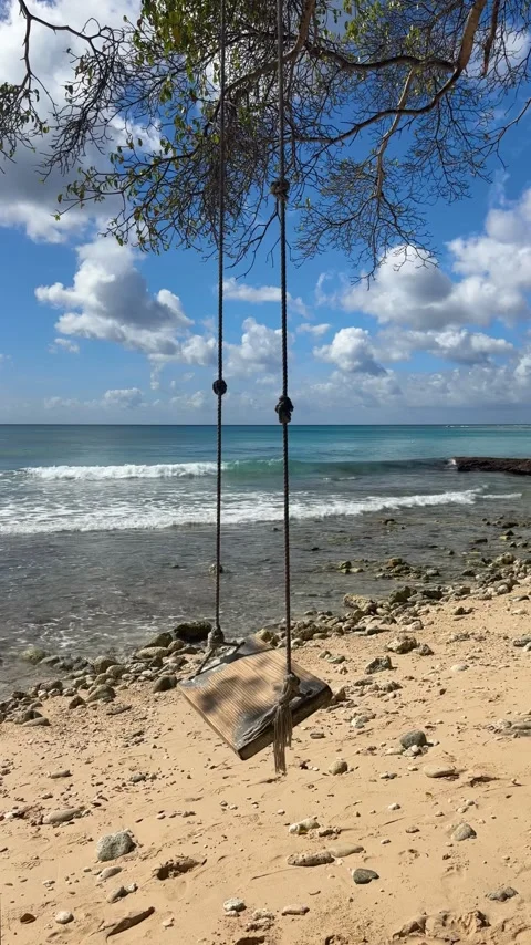 Beach swing in bright daylight at Batts Rock, Barbados tropical beach location Stock Footage 331958373