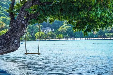 A beach swing on a tropical beach under a large green tree, a summer relaxing Stock Photos