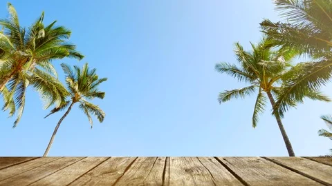 Beach Table Palm Tree Wooden Deck Background, Tropical Palm Tree Ocean and Sky Stock Footage 89856204