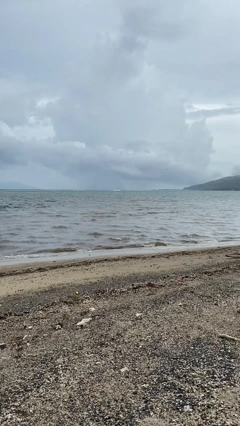 Beach in Tahiti Stock Footage 344546343