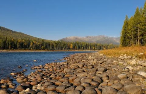Beach taiga river Stock Photos