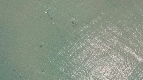 Beach in Tel Aviv City Stock Footage 220149409