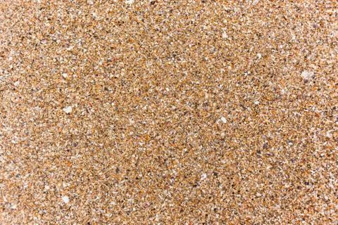 Beach Textures Shells Sand Stock Photos