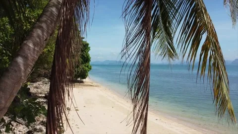 Beach, in Thailand, coconut tree Stock Footage 234425178