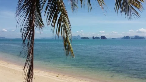 Beach, in Thailand, coconut tree 스톡 동영상 234425189