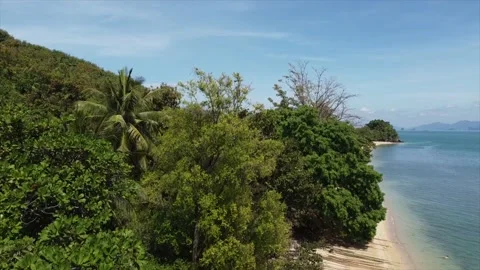 Beach, in Thailand, coconut tree Stock Footage 234425291