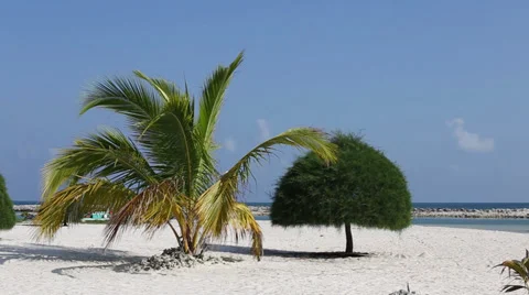 Beach in Thailand. Stock Footage 34186594