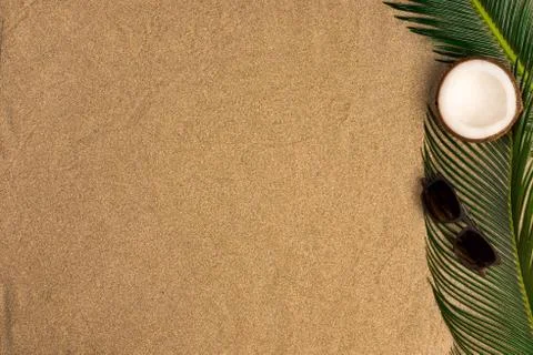 Beach theme on sand background. Palm leaves, coconut, sunglasses on the sand. Stock Photos
