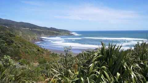 Beach through Plants Stock Footage 111038174