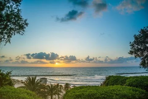 Beach through trees and palms at sunset. Scenic coast of Mediterranean sea Stock Photos