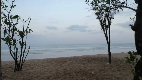 Beach Through the Trees Bali Aerial Drone Video Stock Footage 119904227