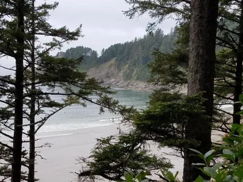 Beach Through The Trees Stock Photos