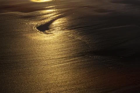 Beach tide line at sunset Stock Photos