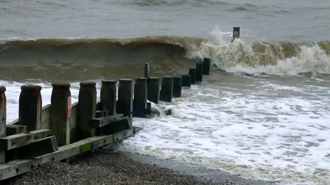 Beach with timber break wall Stock Footage 166175843