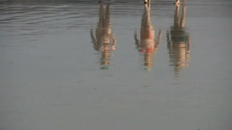 Beach time Stock Footage 148503