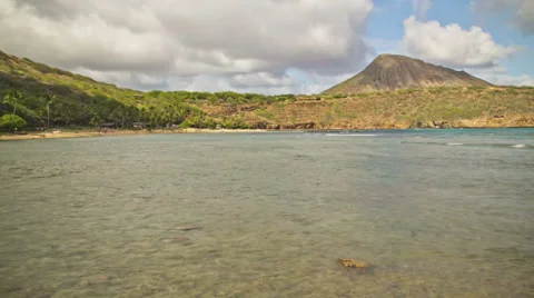 Beach Time Lapse Fish Stock Footage 31864770