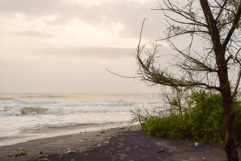 Beach at the time of sunset. Stock Photos