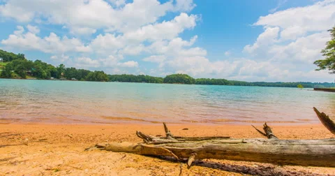 Beach Timelapse with Fallen Tree in Foreground Stock Footage 57753313