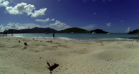 Beach timelapse Video stock 42799022