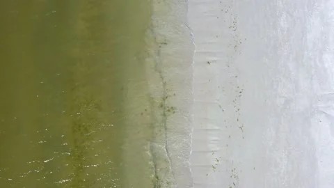 Beach top down fly by shoreline Stock Footage 156403815