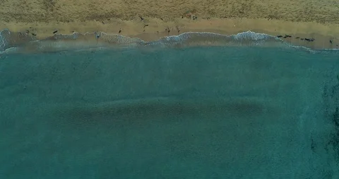 Beach top view Stock Footage 94039040