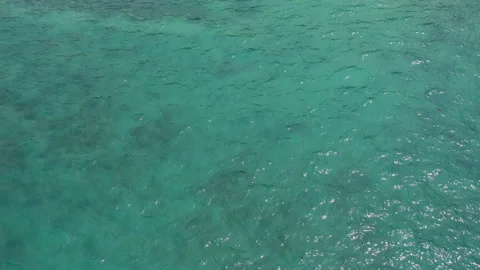 Beach top view with pattern wave Stock Footage 196369165